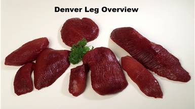 Denver Leg Overview