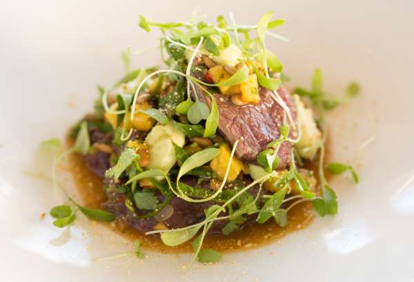 Thai Style Venison Salad